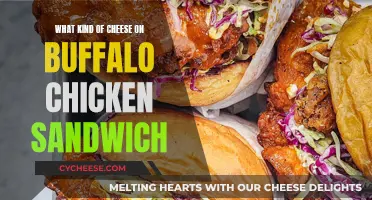 Best Cheeses to Compliment a Buffalo Chicken Sandwich