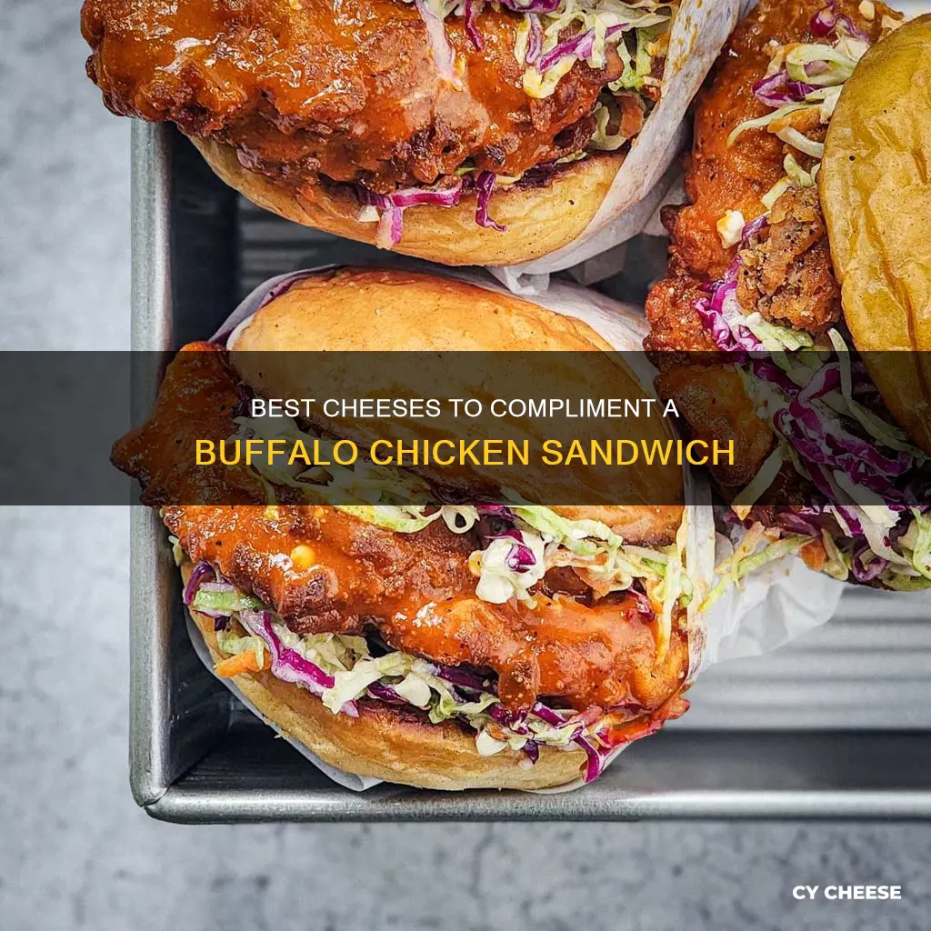 what kind of cheese on buffalo chicken sandwich