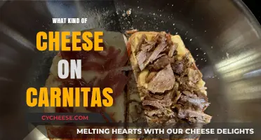 Carnitas: The Perfect Cheese Companion