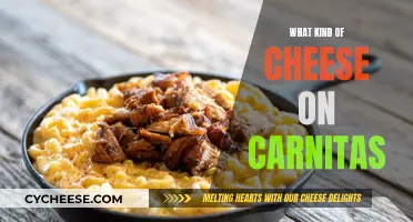Carnitas and Cheese: The Perfect Melty Match