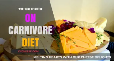 Carnivore Diet: Exploring the Best Cheeses for a Meat-Only Lifestyle