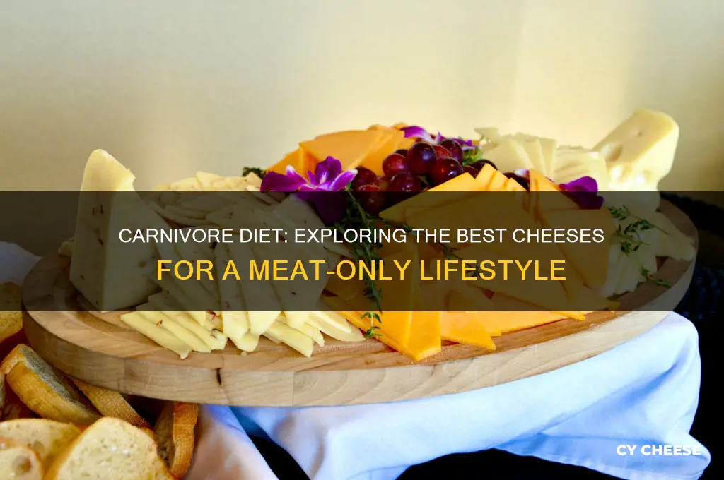 what kind of cheese on carnivore diet