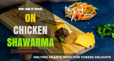 Cheese on Shawarma: A Tasty Twist