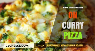 The Perfect Curry Pizza: A Cheesy Adventure