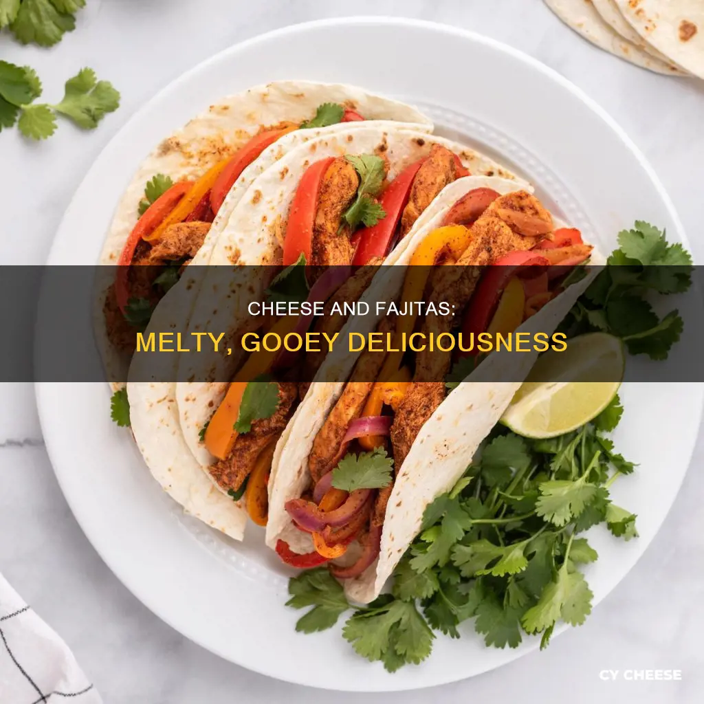 what kind of cheese on fajitas