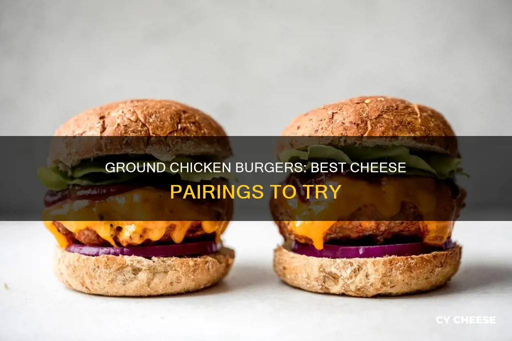 what kind of cheese on ground chicken burgers