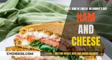 Hardee's Hot Ham and Cheese: What's the Cheesy Secret?