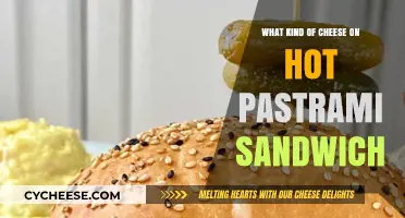 The Perfect Cheesy Match: Pastrami Sandwich Toppings