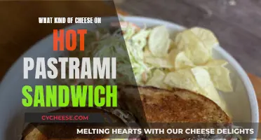 Hot Pastrami: Best Cheeses for a Melty, Meaty Sandwich