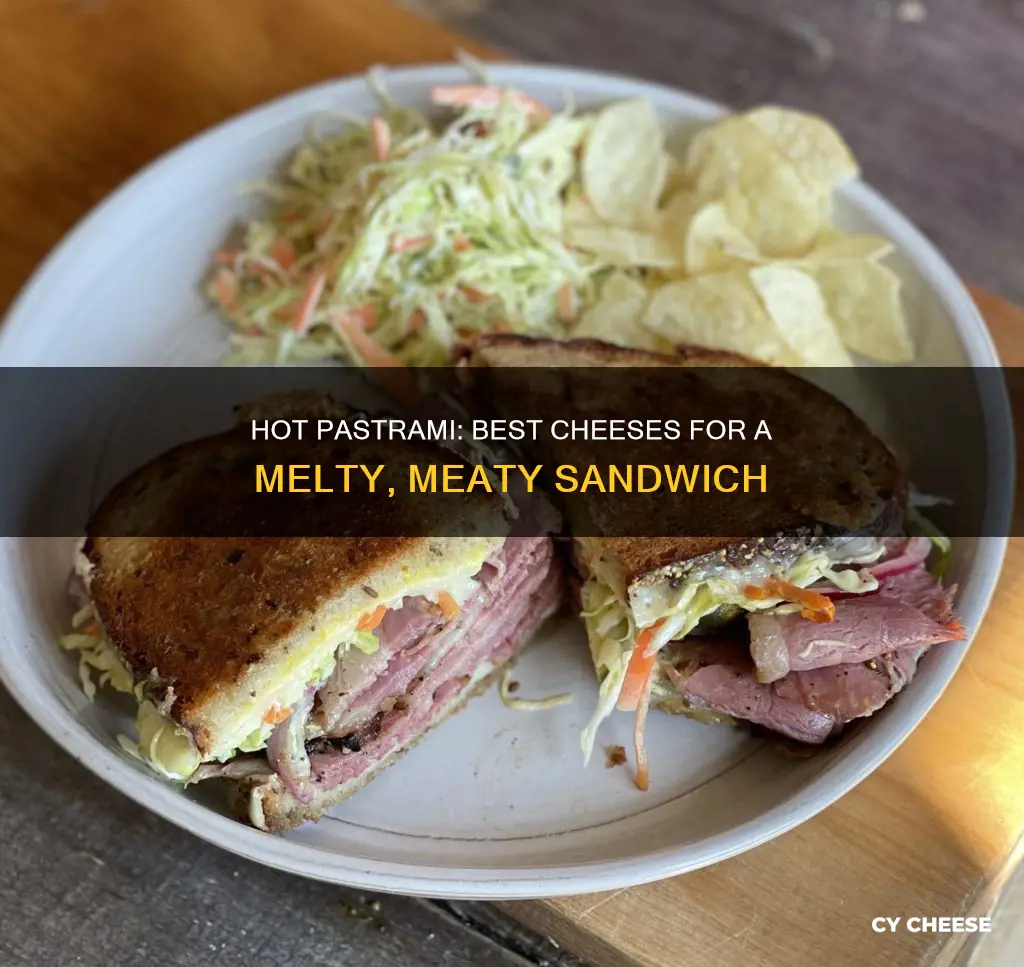 what kind of cheese on hot pastrami sandwich