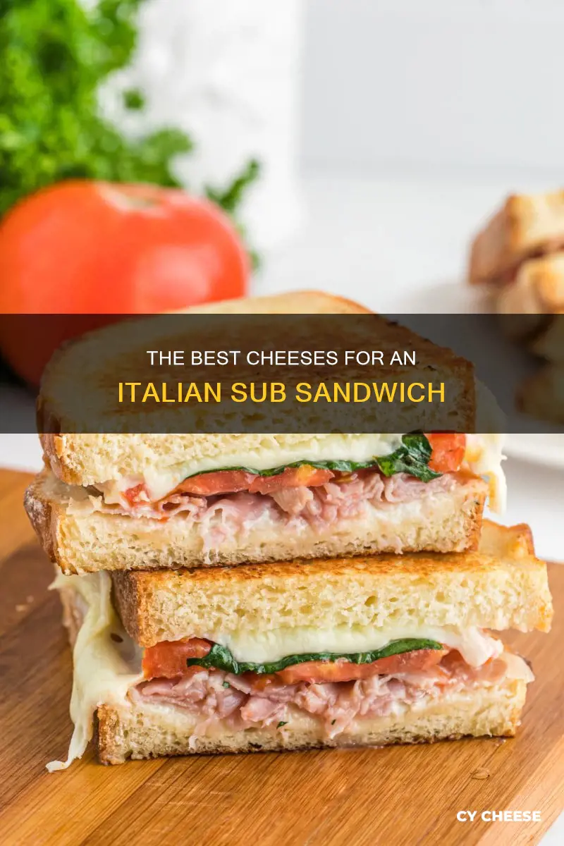 what kind of cheese on italian sub