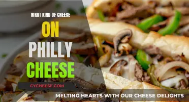 Philly Cheesesteak: The Perfect Cheese Combination