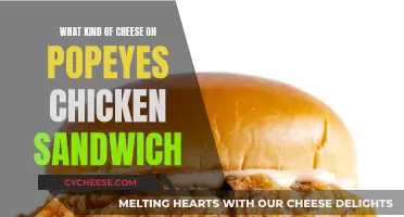 Popeyes Chicken Sandwich: Best Cheese Pairings