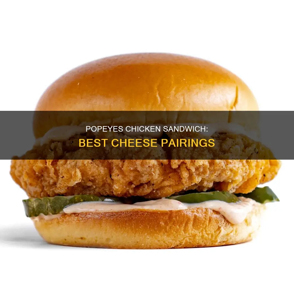 what kind of cheese on popeyes chicken sandwich