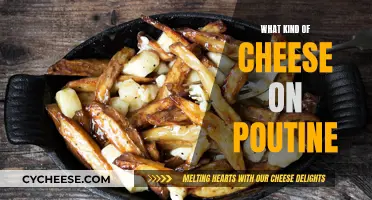 The Best Cheeses to Smother Your Poutine
