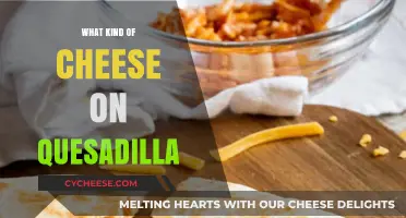 Quesadilla Cheeses: A Guide to the Perfect Melty Topping