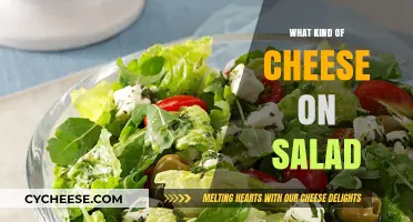 Cheese on Salad: A Guide to the Perfect Topping