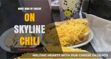 Skyline Chili's Cheesy Delight: A Guide to the Perfect Topping