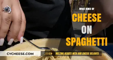 Spaghetti's Cheesy Companion: Exploring the Perfect Pairing