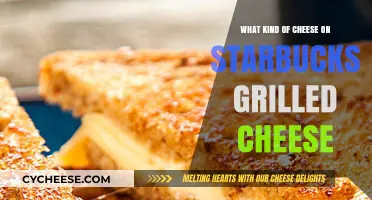 Starbucks' Grilled Cheese: A Cheesy Adventure Unveiled