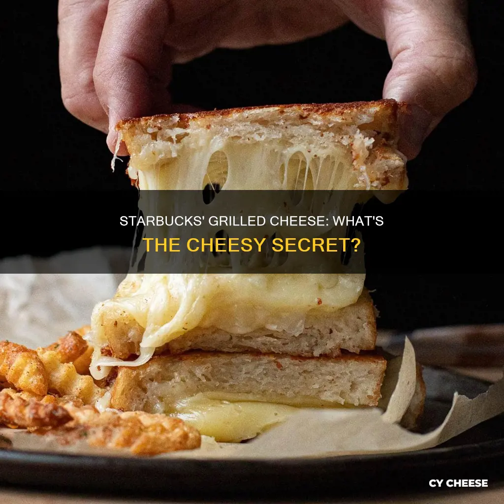 what kind of cheese on starbucks grilled cheese