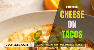 Cheese and Tacos: Perfect Pairing for a Flavorful Bite