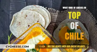 Cheese and Chile: A Tasty Topping Duo