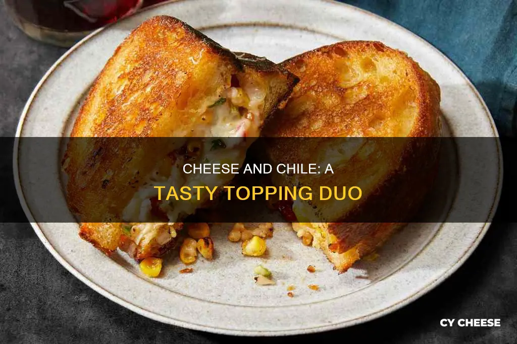 what kind of cheese on top of chile