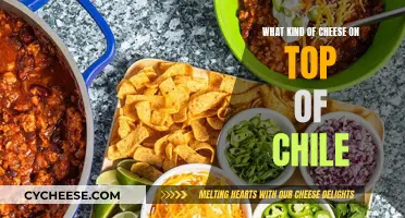 Cheese and Chile: Melty Toppings for a Spicy Dish