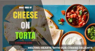 Torta's Cheesy Delight: Exploring the Perfect Topping