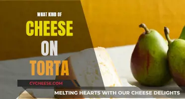 Cheese Options for Your Torta: The Best Combinations