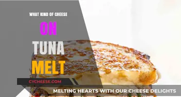 Tuna Melt Toppings: A Cheesy Guide to the Perfect Bite