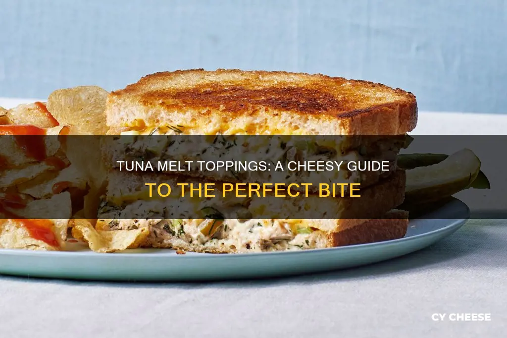 what kind of cheese on tuna melt