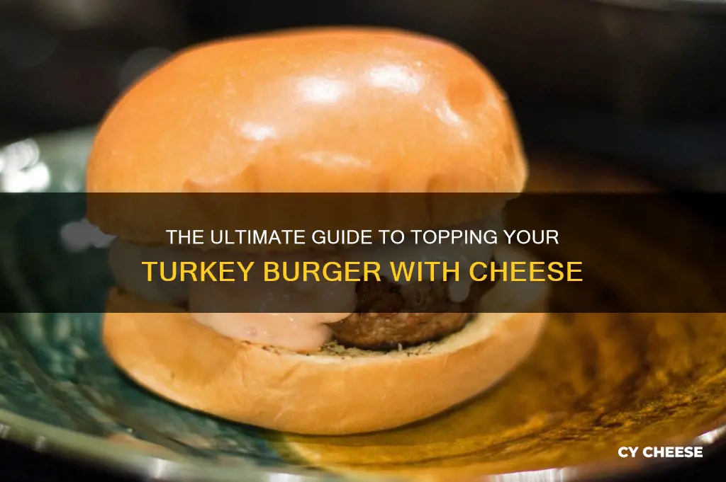 what kind of cheese on turkey burger