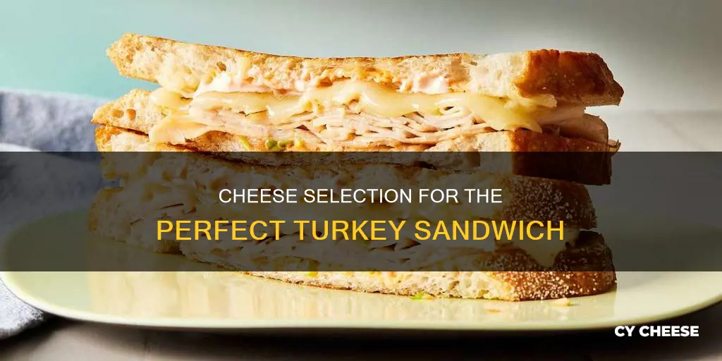 what kind of cheese on turkey sandwich