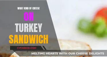 Best Cheeses to Compliment a Turkey Sandwich