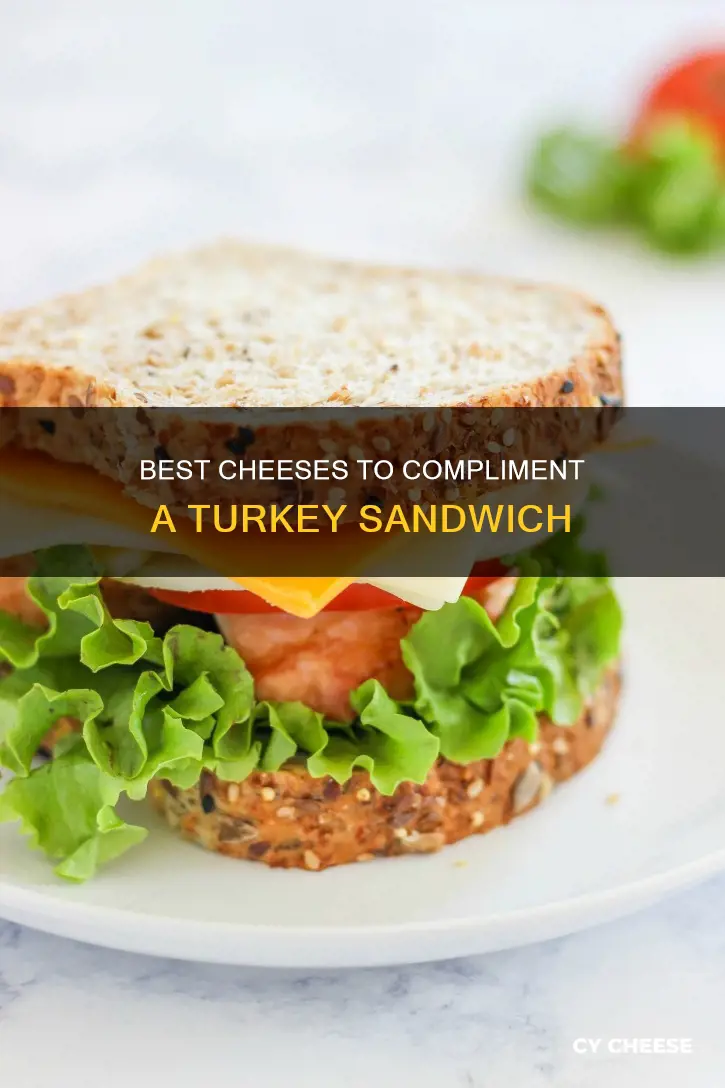 what kind of cheese on turkey sandwich