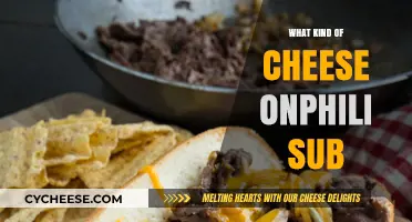 The Ultimate Guide to the Perfect Cheesy Sub: A Cheeseburger's Dream