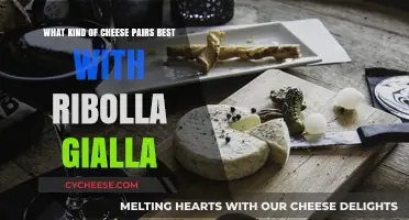 Exploring the Perfect Match: Ribolla Gialla's Cheesy Companions