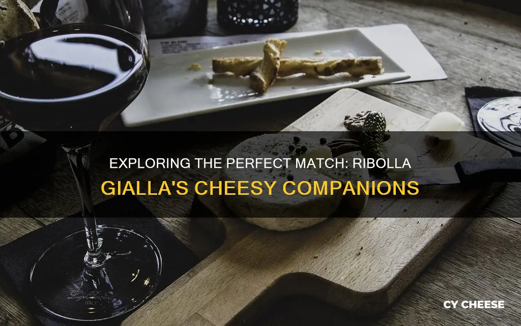 what kind of cheese pairs best with ribolla gialla