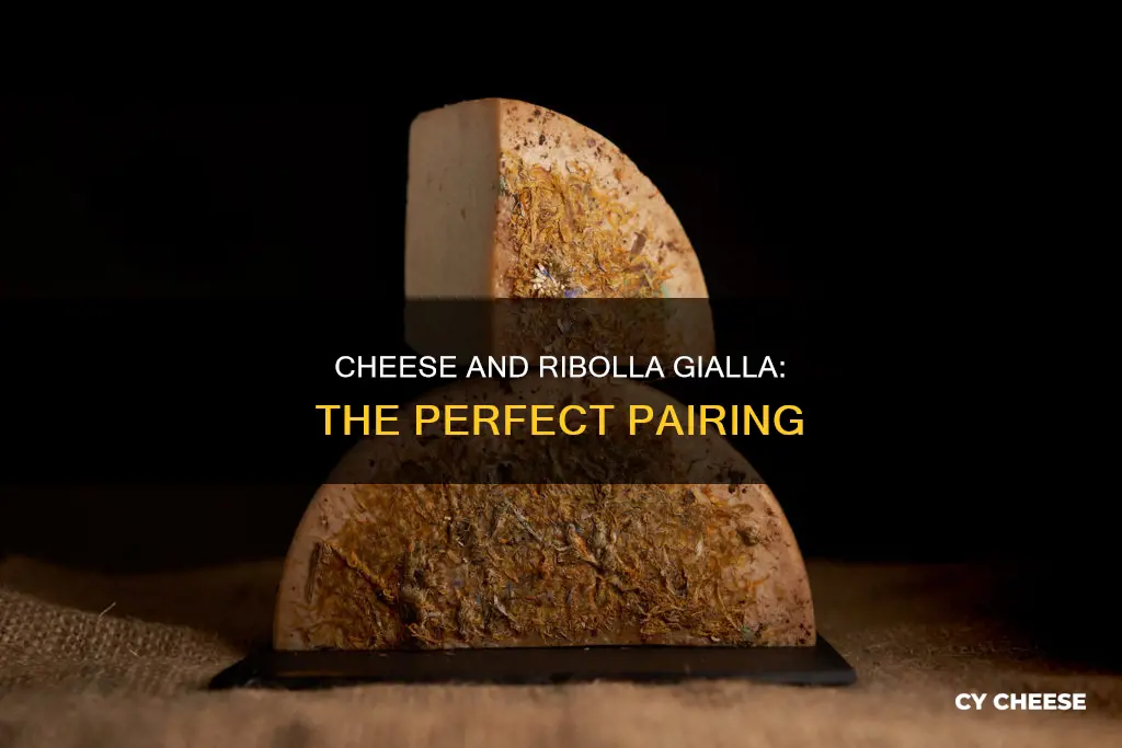 what kind of cheese pairs best with ribolla gialla