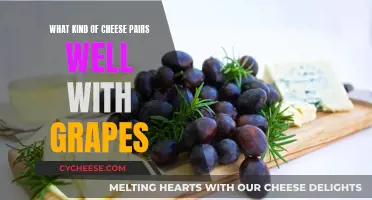 Cheese and Grapes: Perfect Pairing Recommendations