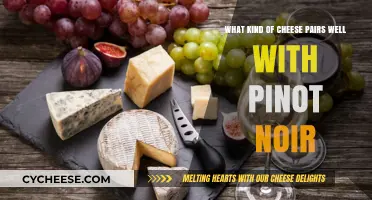 Pinot Noir and Cheese: The Perfect Match