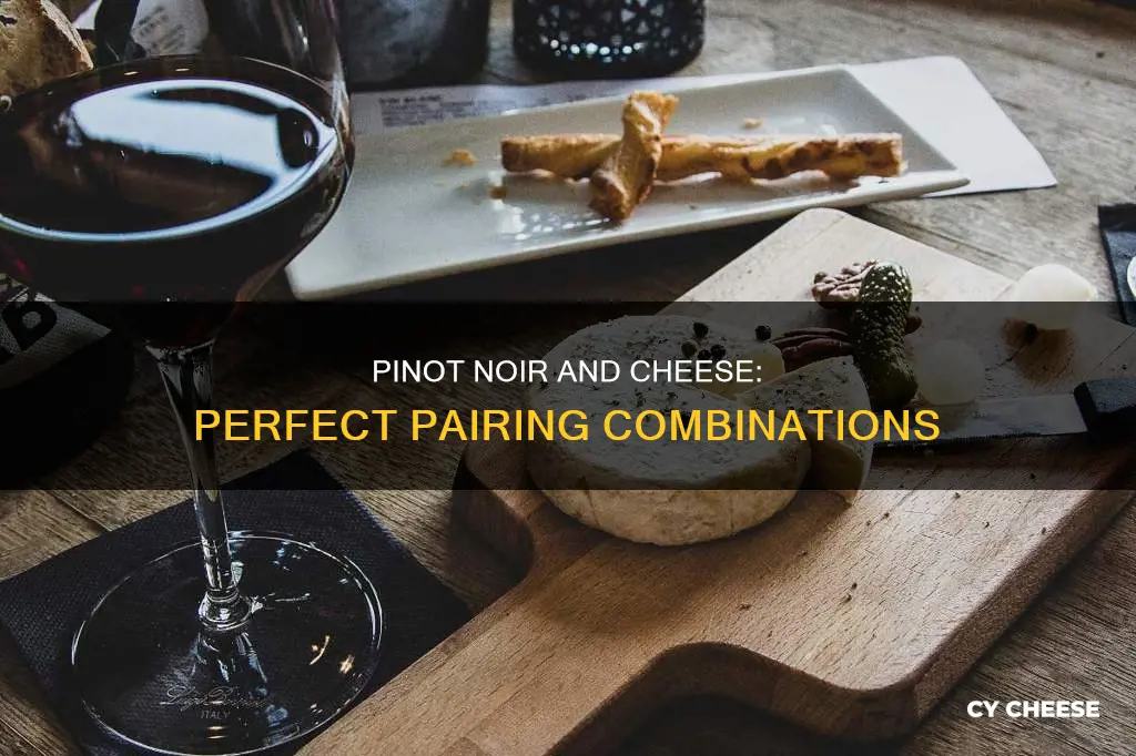 what kind of cheese pairs well with pinot noir