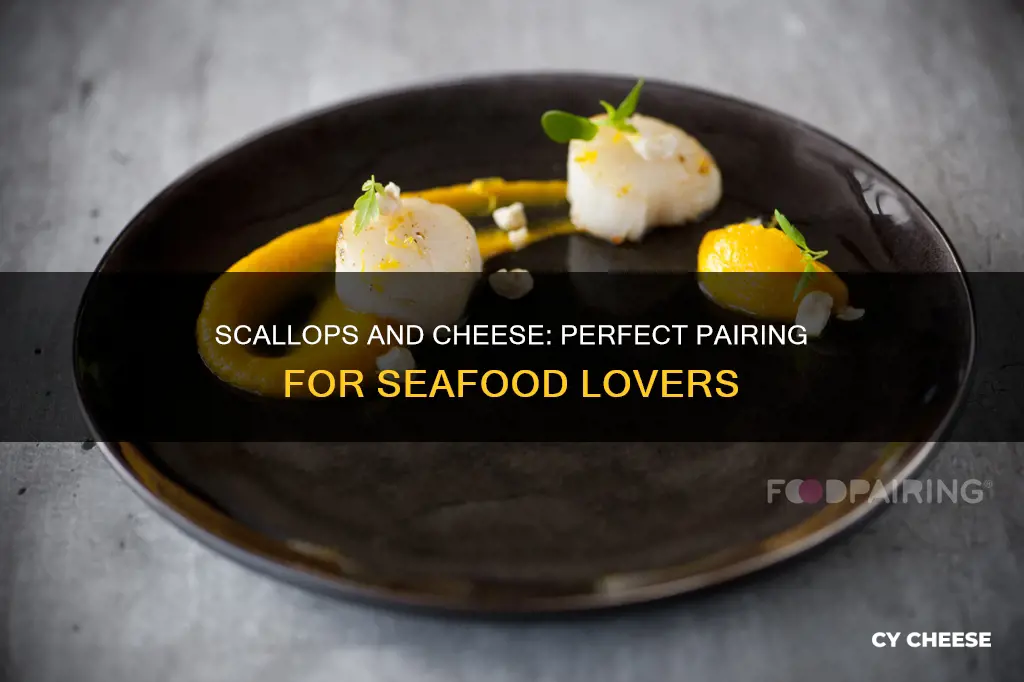 what kind of cheese pairs well with scallops