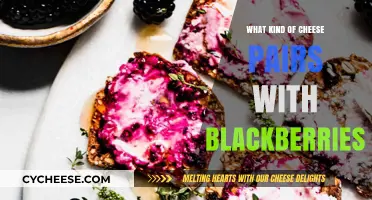 Blackberry Bliss: Cheesy Pairings for a Sweet and Savory Adventure