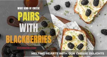 Blackberries and Cheese: A Perfect Pairing Adventure