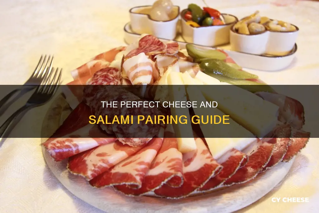 what kind of cheese pairs with salami