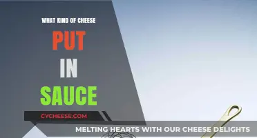 Cheese Sauce Secrets: The Ultimate Guide to Flavorful Combinations