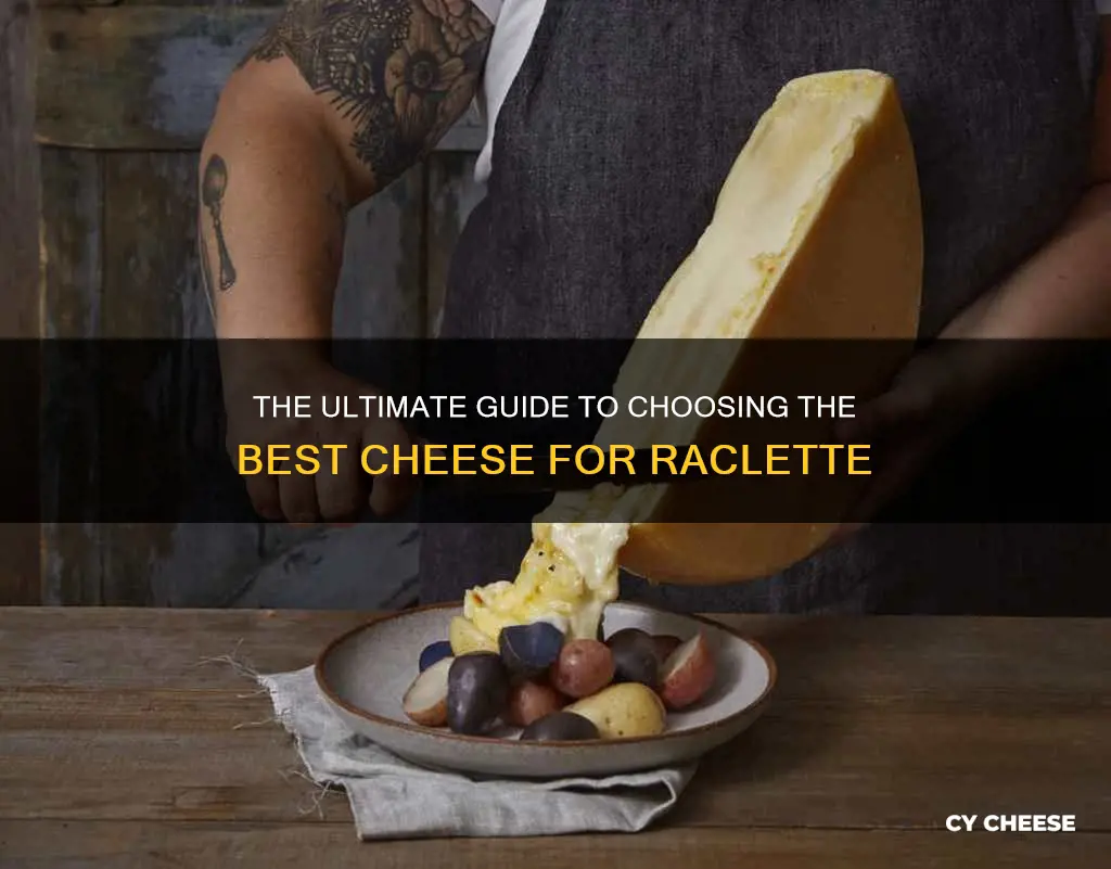 what kind of cheese raclette